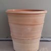 "Yucca", Größe H=50 cm