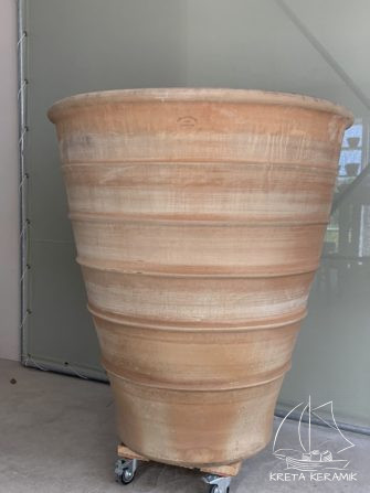 "Yucca", Größe H = 113cm